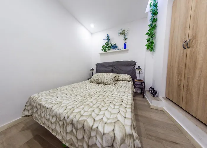 Terrace & Apartamento Calella